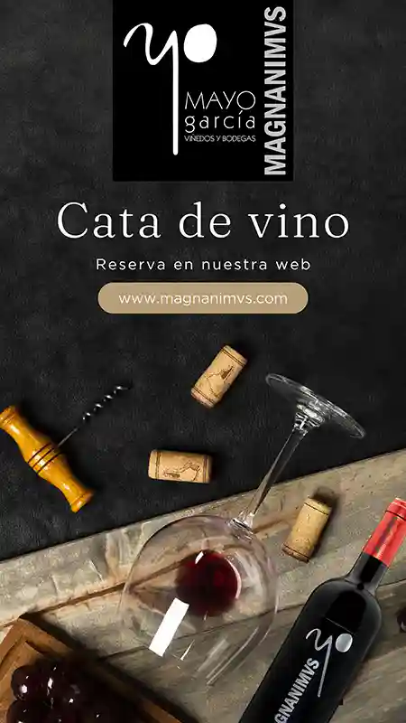 Cata de vino