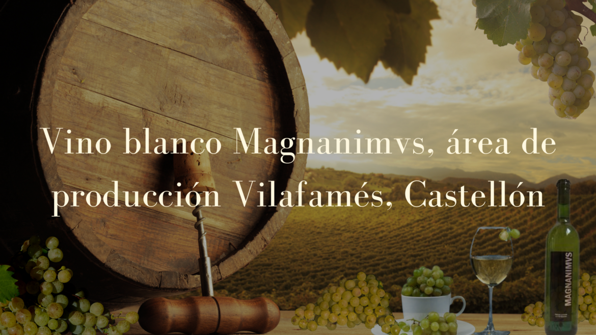 Vino Blanco Magnanimvs, área de producción Vilafamés, Castellón