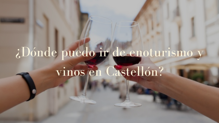 ¿Dónde puedo ir de enoturismo y vinos en Castellón?