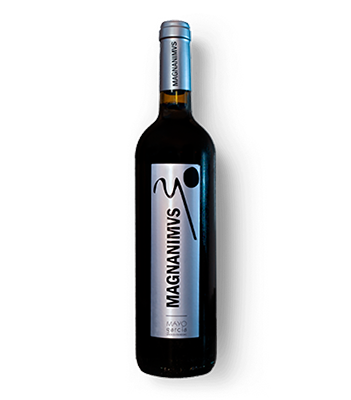 Ofertas en vinos tintos